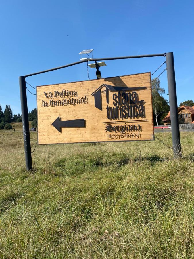 포이아나브라소프 Pentahouse Mountain Belle Vue 아파트 외부 사진