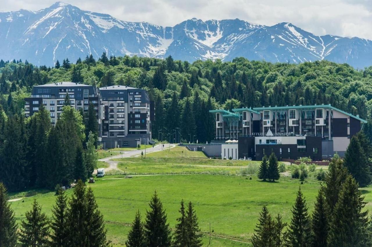 포이아나브라소프 Pentahouse Mountain Belle Vue 아파트 외부 사진